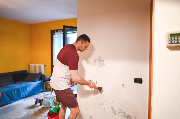 Best Mold Remediation  in Holloman Af, NM